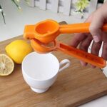 Plastic Handle Lemon Squeezer