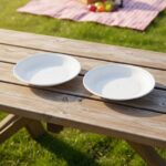 6 Pieces Plastic Small Picnic Plate - Image 3