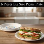 6 Pieces Plastic Big Picnic Plate